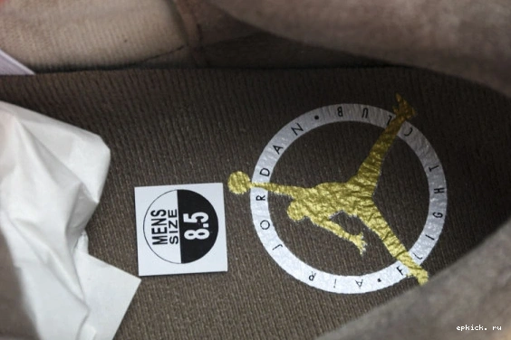 Cheap EP CT8532-102   Palomino CT8532-102 Retro Jordan 3 0106